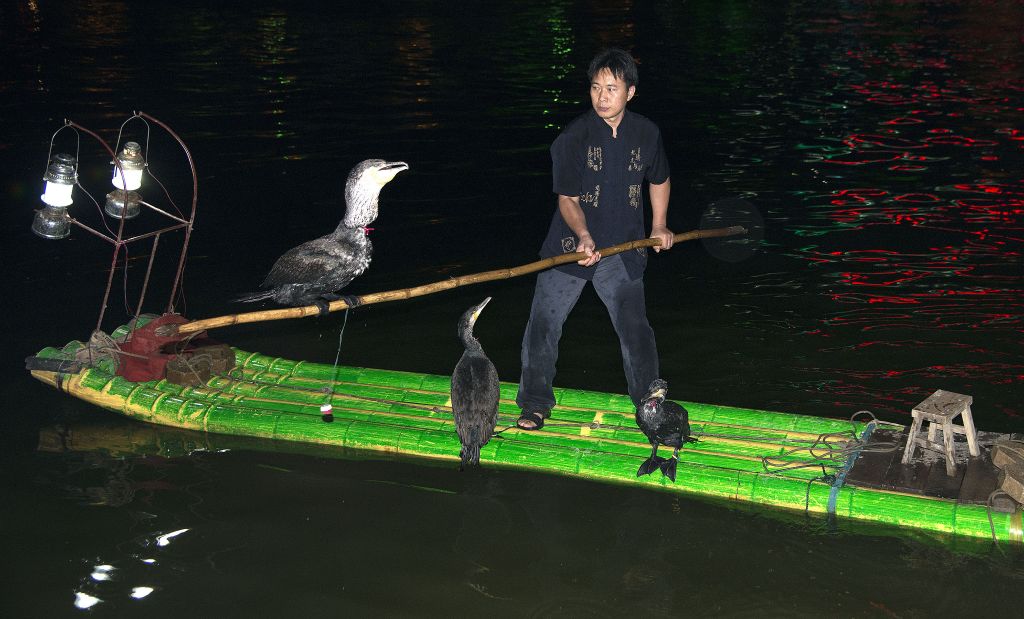 Guilin, cormorant fishing