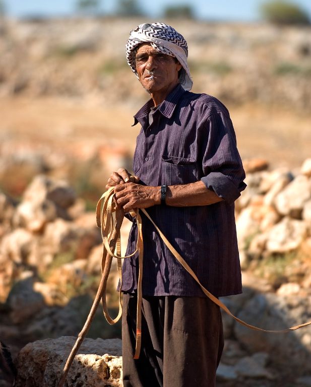 Pastor beduino
