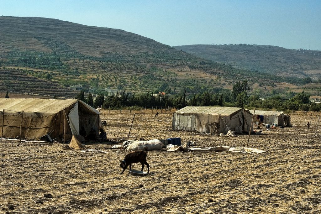 Jaimas beduinas