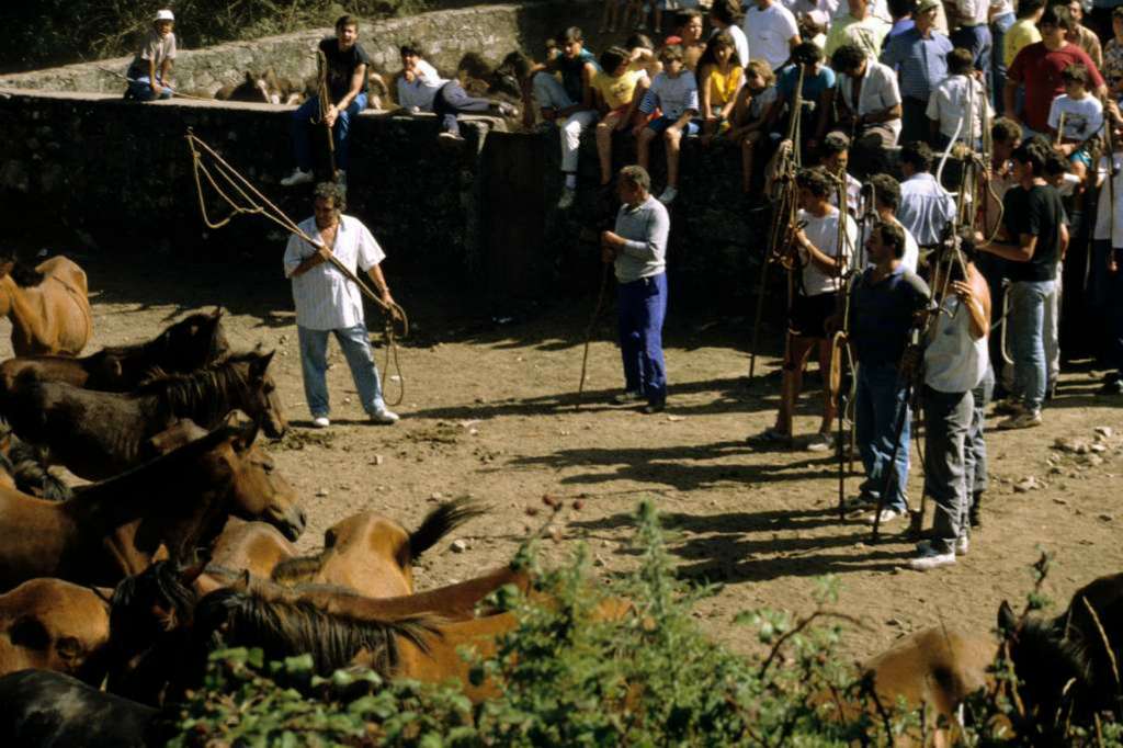 Los "agarradores"			o "aloitadores"			se preparan para entrar en el curro