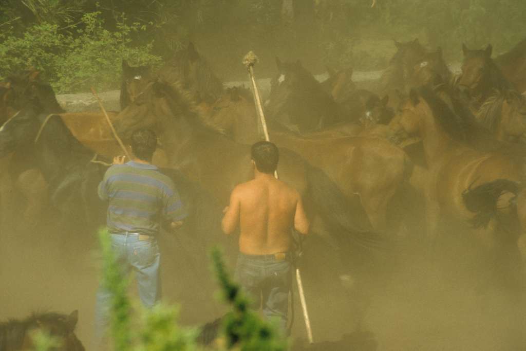 La pelea de hombres y caballos levanta una gran nube de polvo