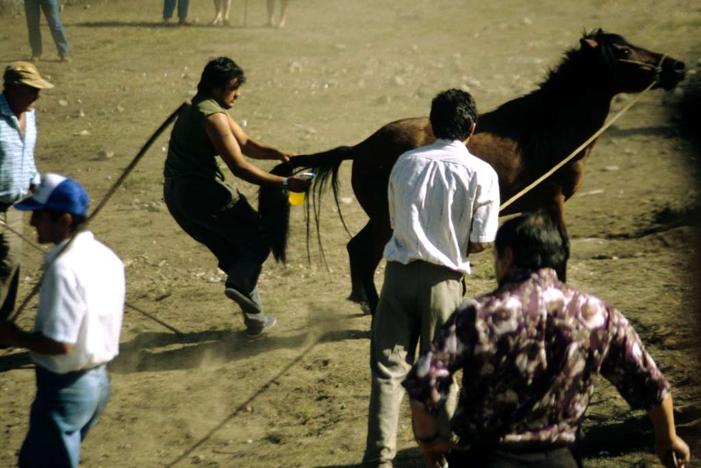 También se limpian y desinfectan a los animales