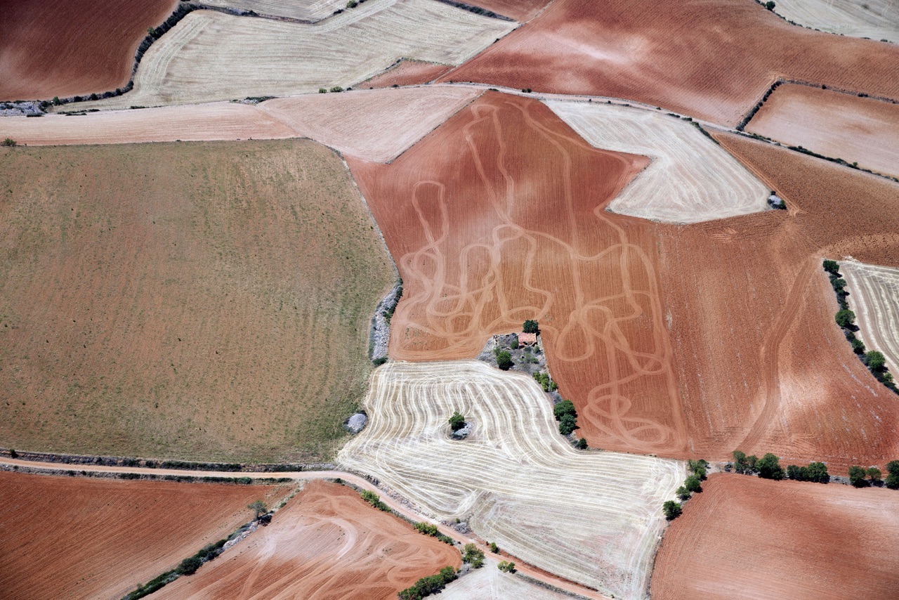 Campos en Herrera de los Navarros (Zaragoza)