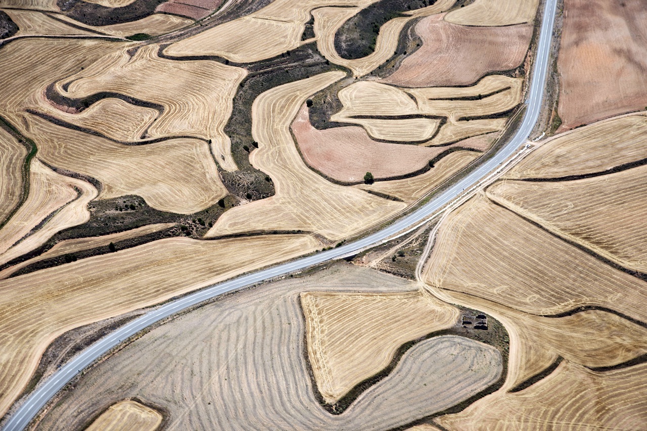 Campos en Torrecilla del Rebollar (Teruel)