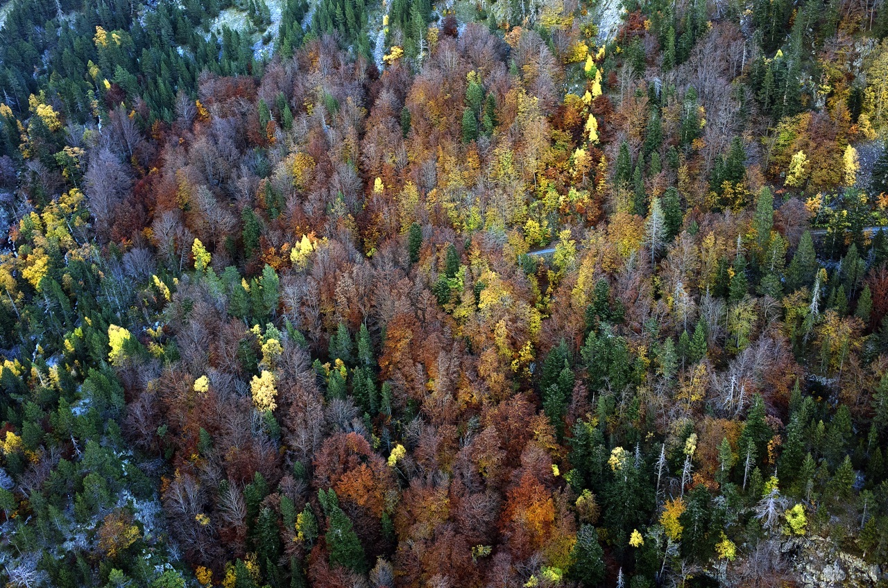 Valle de Benasque en Otoño (Huesca)