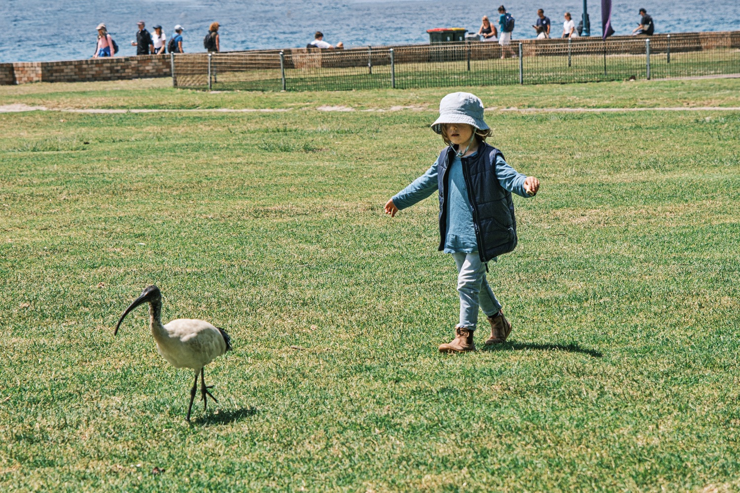 Sidney, Bondi to Coogee Coastal Walk, Bronte Beach