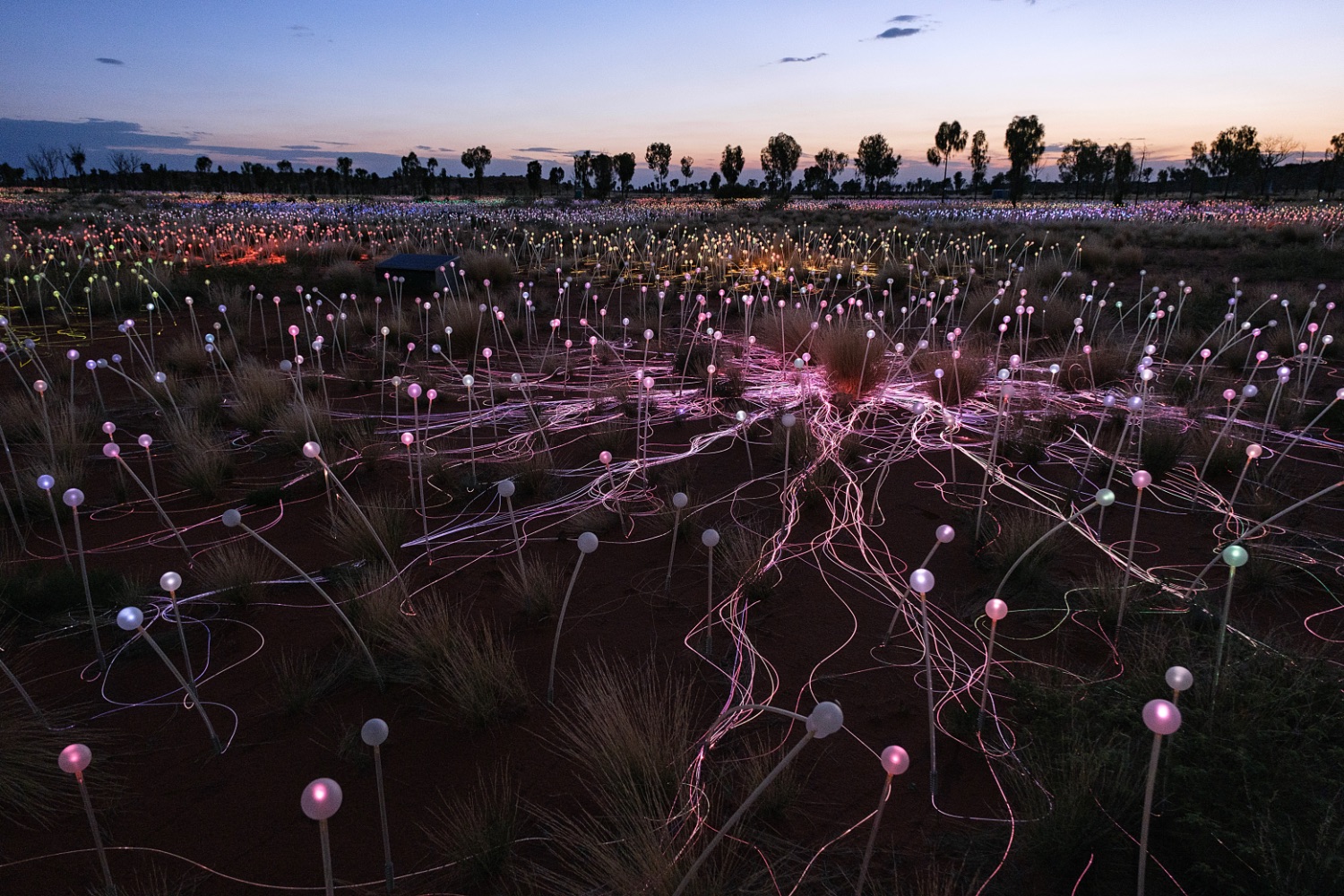 Ayers Rock, Campo de Luz de Bruce Munro