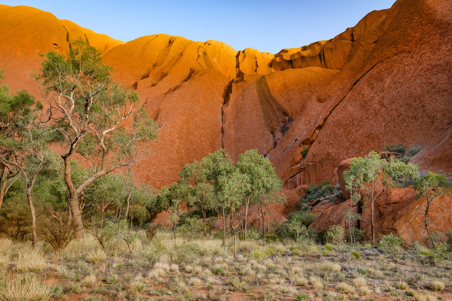 Uluru