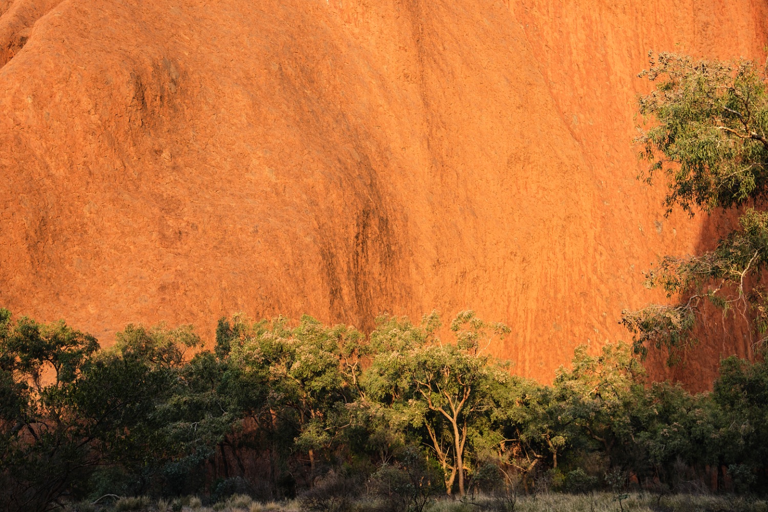 Uluru