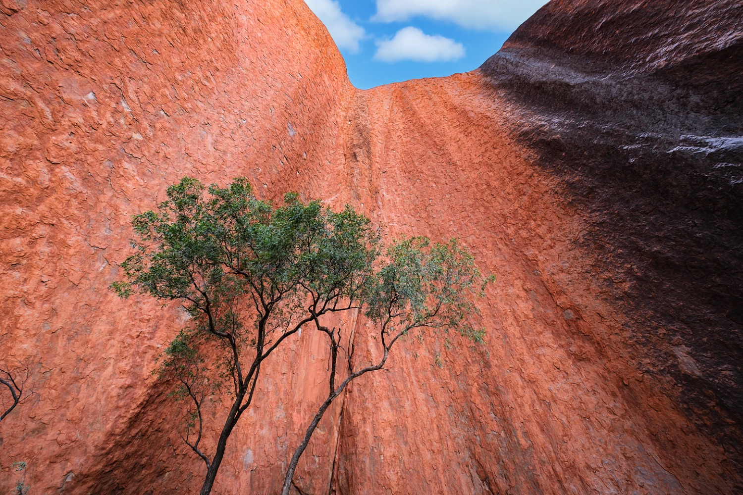 Uluru