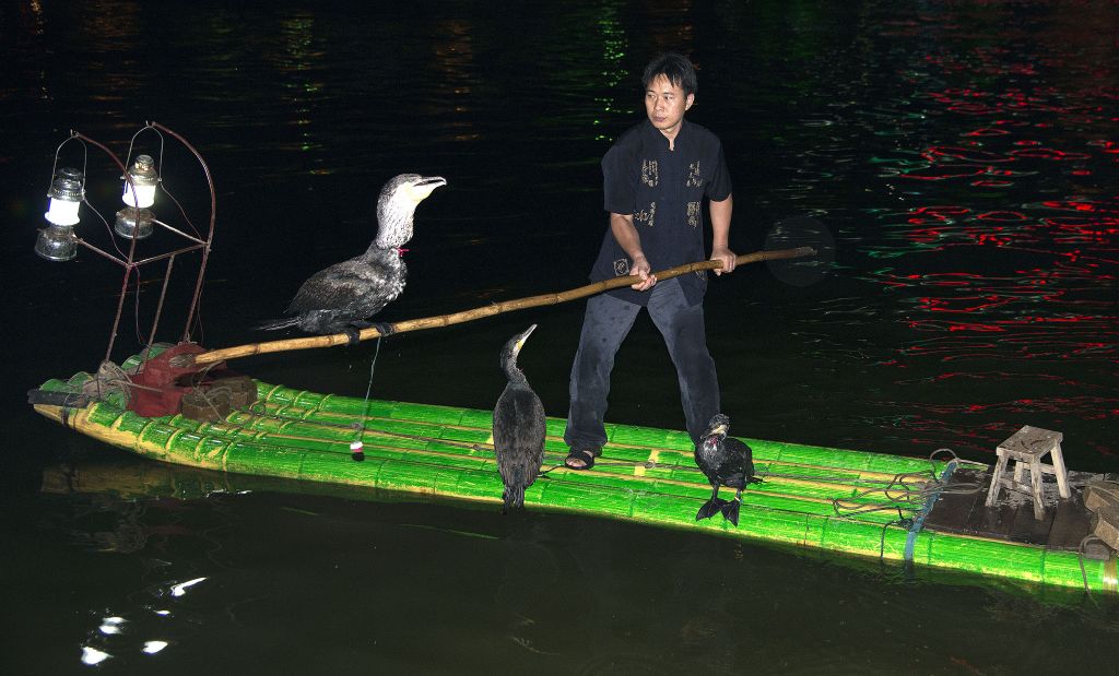 Guilin, pesca con cormorán