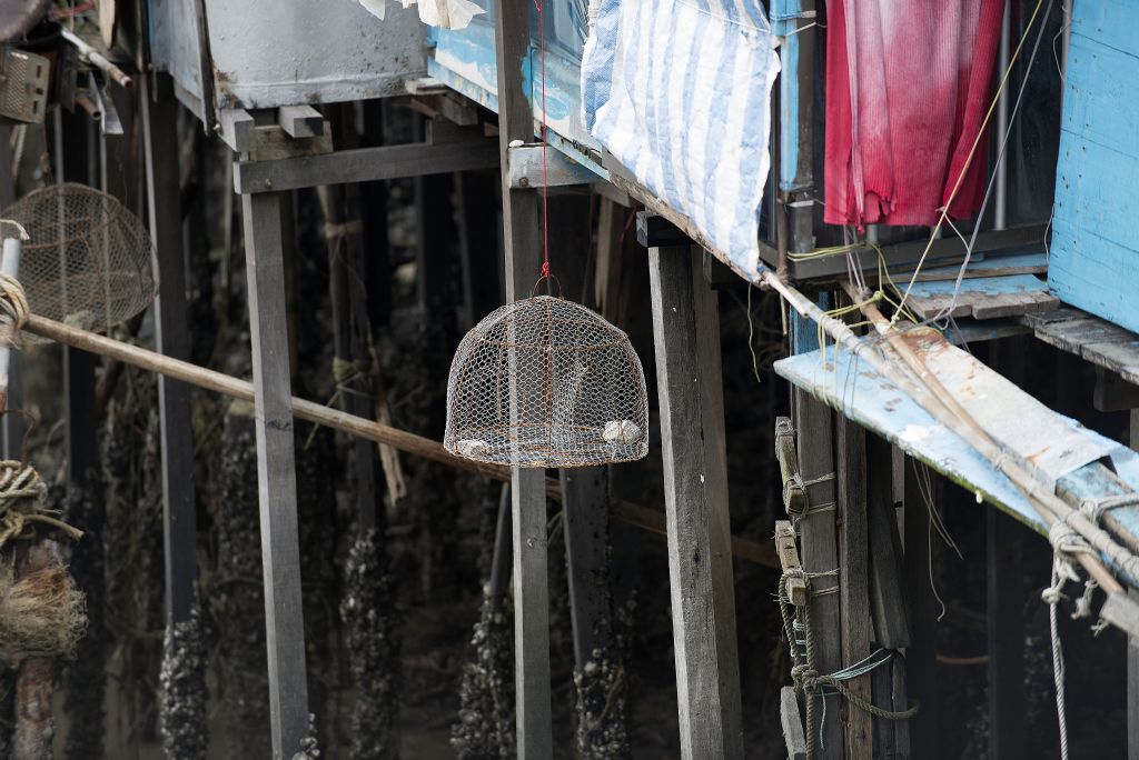 Hong Kong, Isla Lantau, Tai O