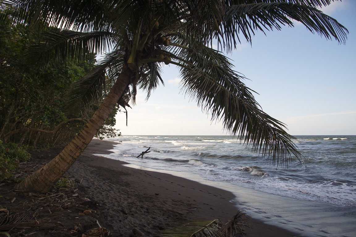 Tortuguero