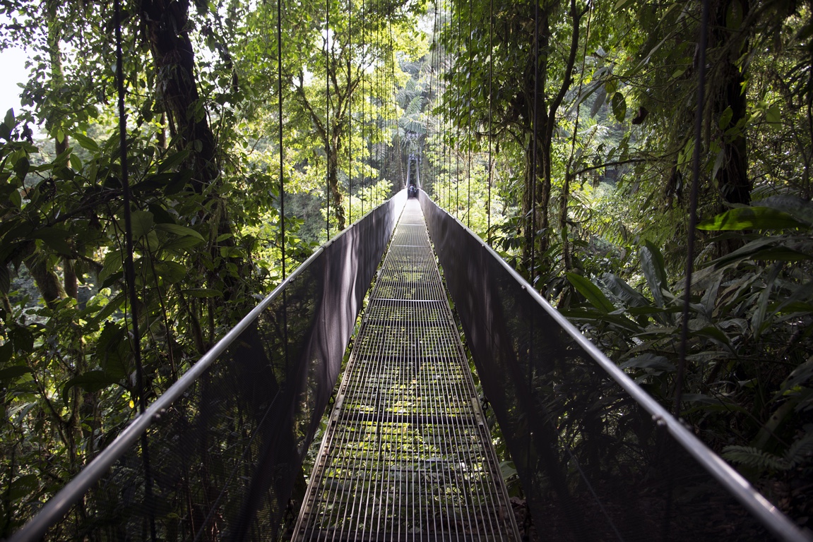 Arenal, puentes colgantes