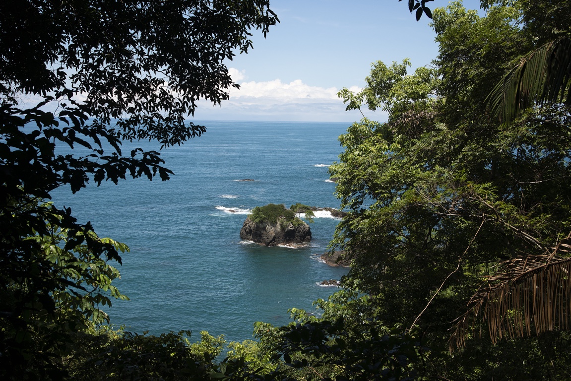 P. N. Manuel Antonio