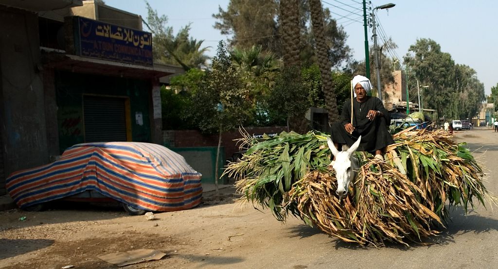 Carretera de El Cairo a Memfis