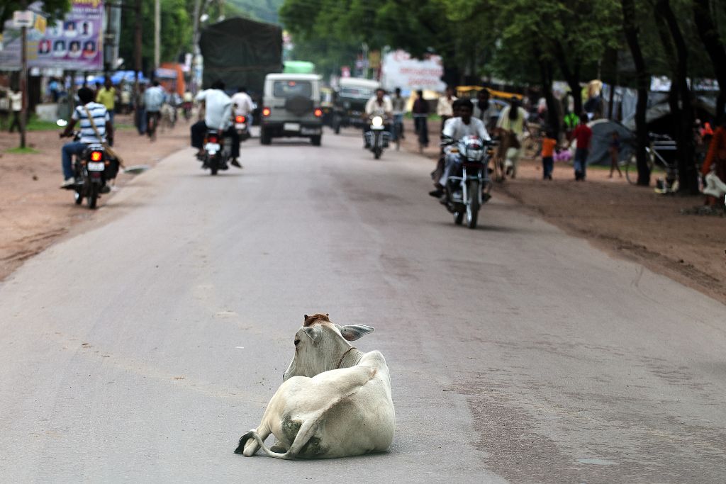 Carretera de Khajuraho a Orccha