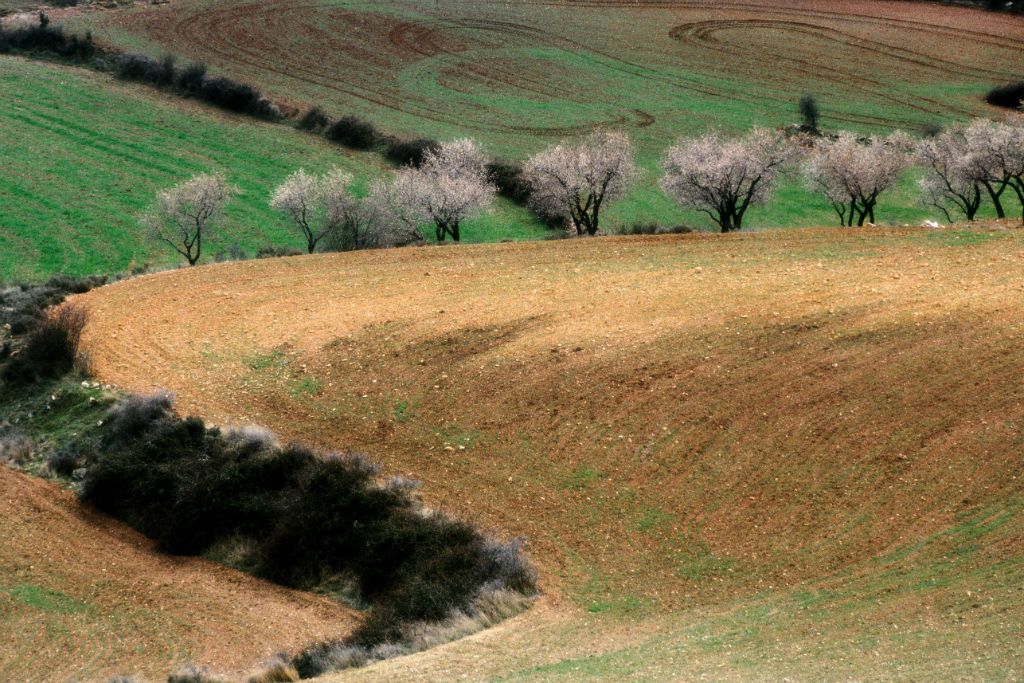 Aliaga (Teruel), 1999