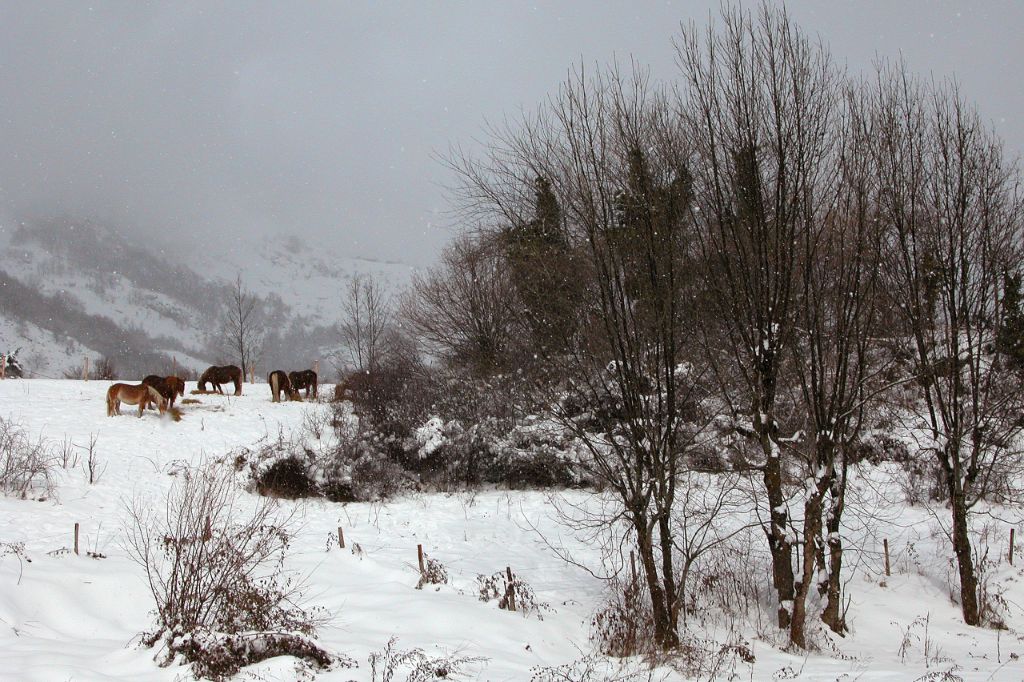 Valle de Arán (Lleida), 2005