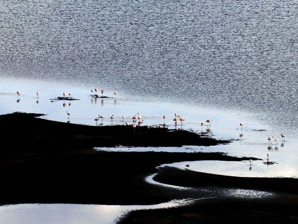 Lago Saracocha (Perú), 2008