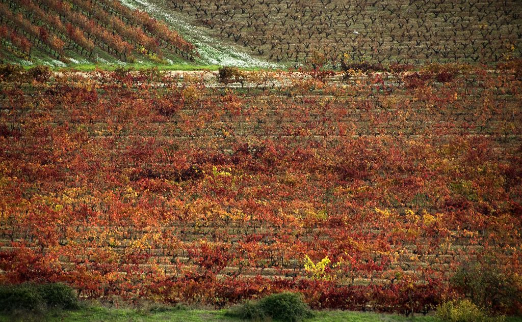 Laguardia (Alava), 2009