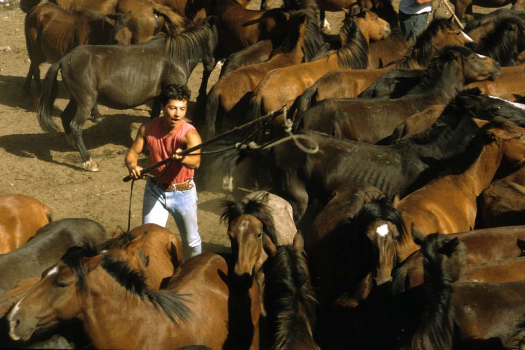 The "aloitadores"are ready to enter into the "curro"