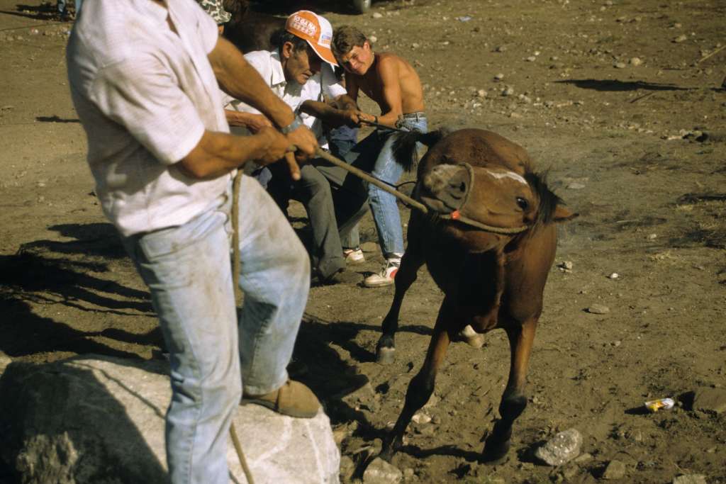 Out of the "curro", the branding starts