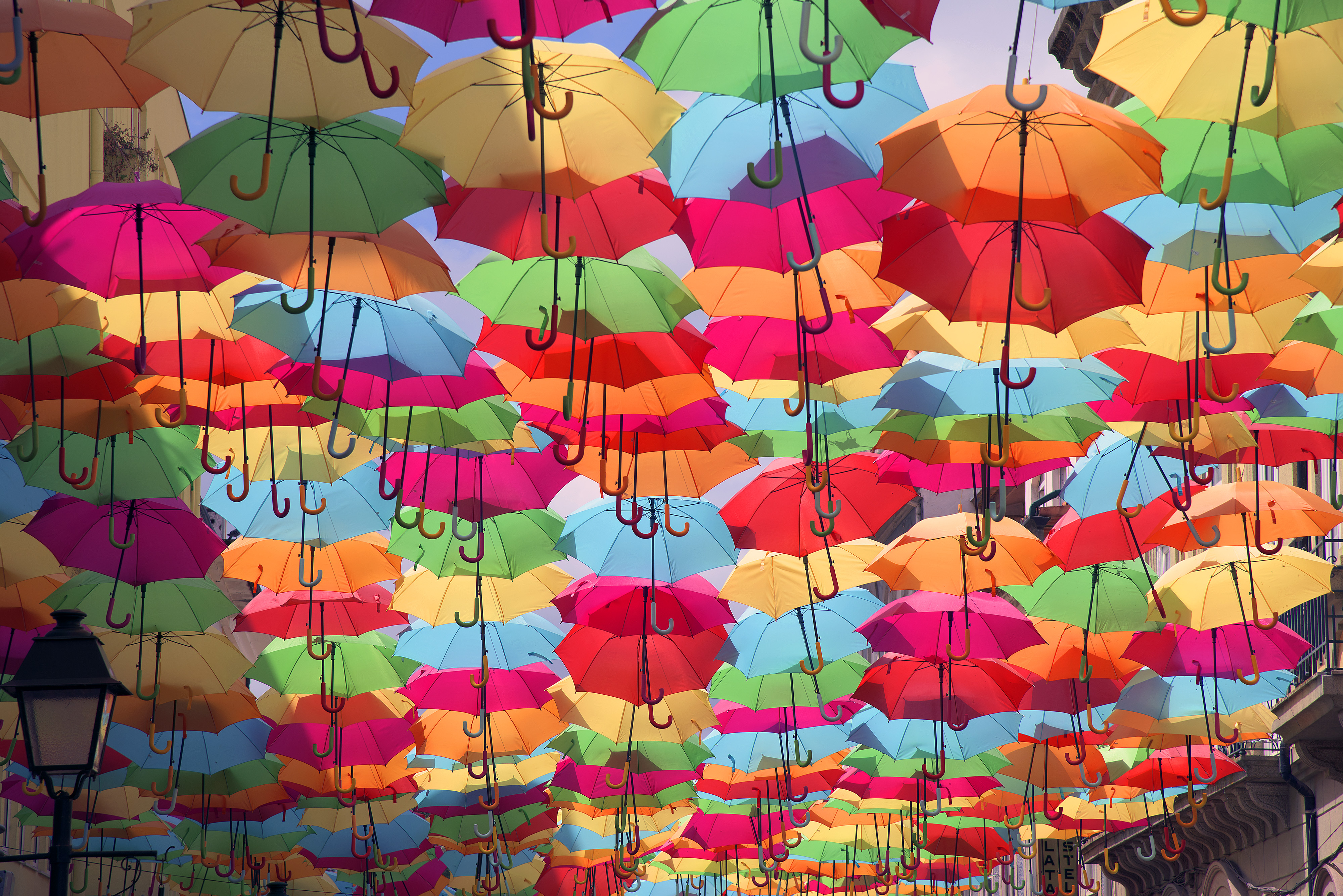 Agreda (Portugal), 2017