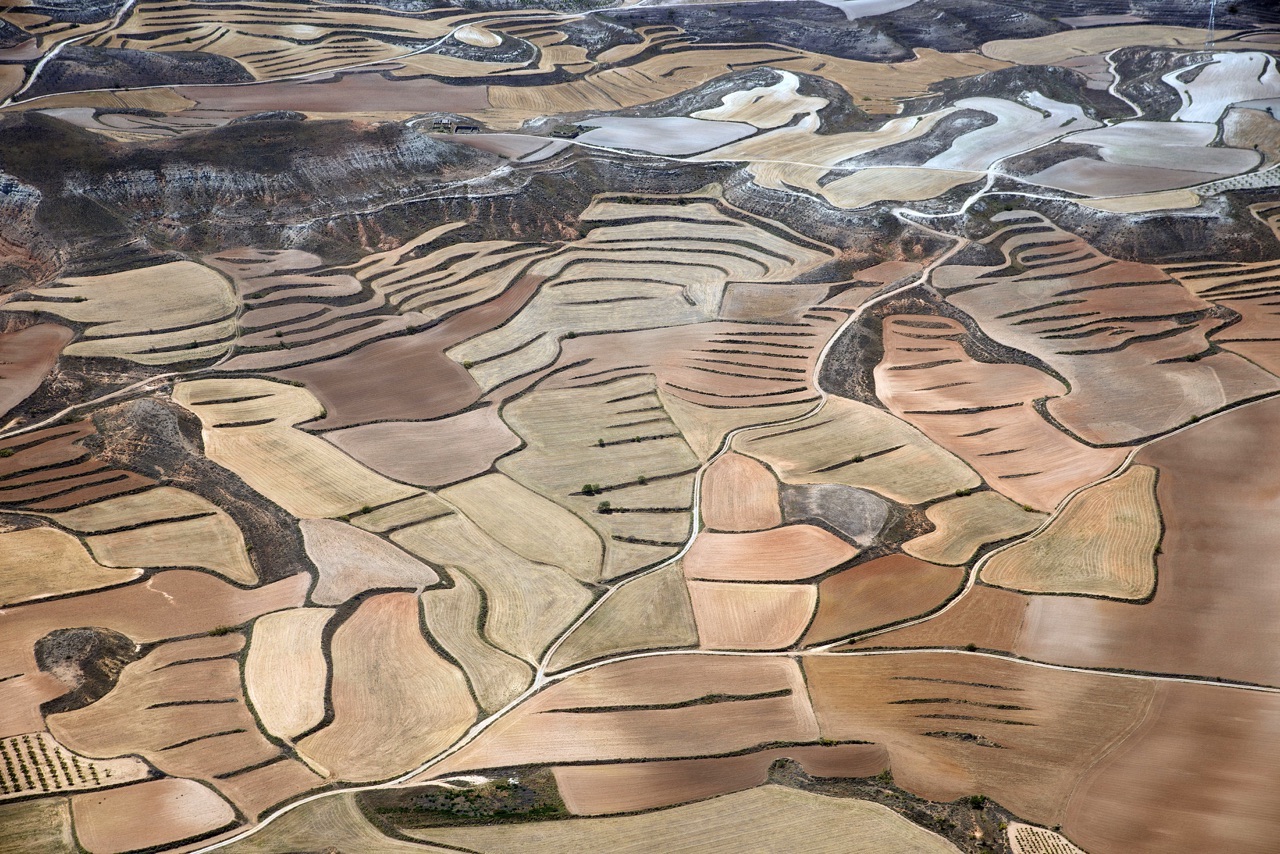 Fields of Mezalocha (Zaragoza)