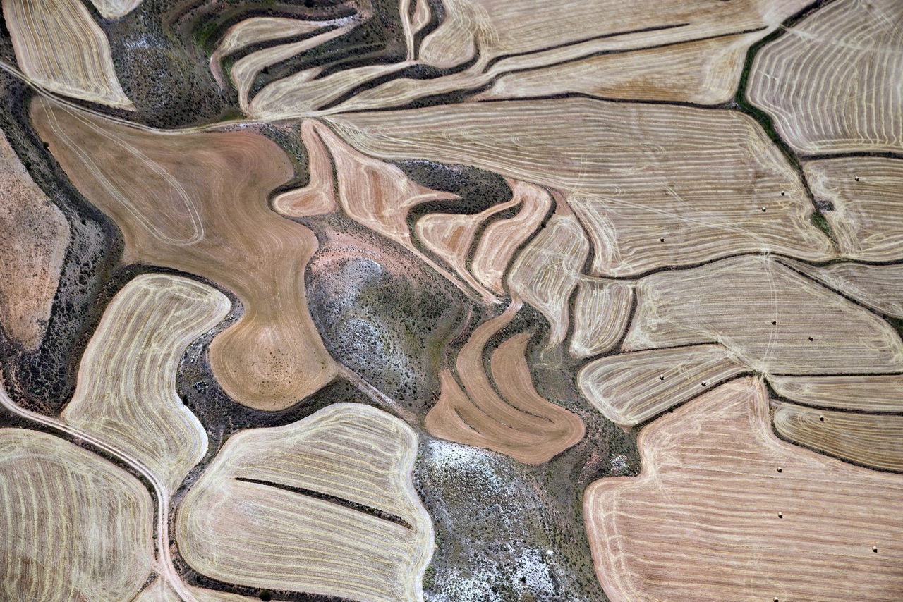 Fields of Torrecilla del Rebollar (Teruel)