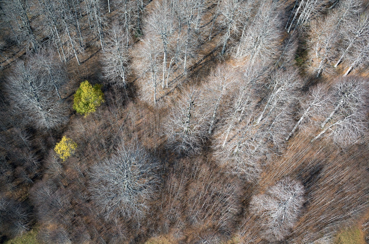 Zurza Valley (Huesca)