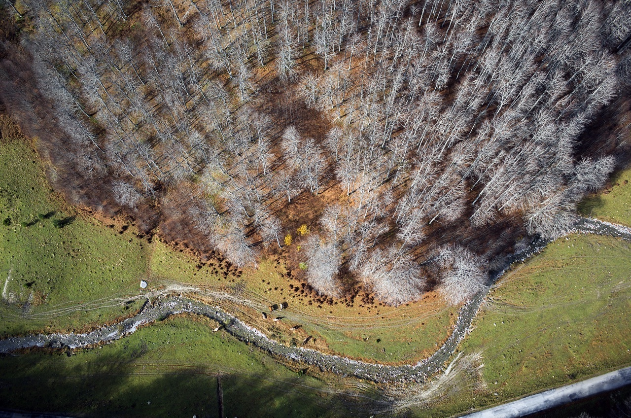 Zurza Valley (Huesca)