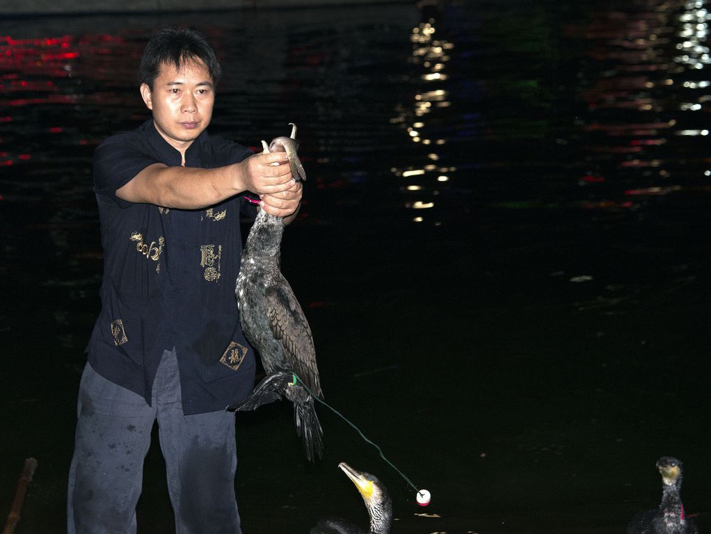 Guilin, cormorant fishing
