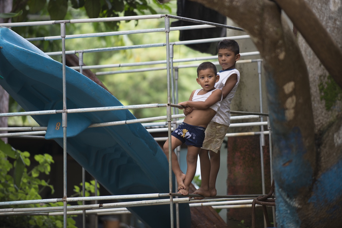 Damas Island Mangroves 