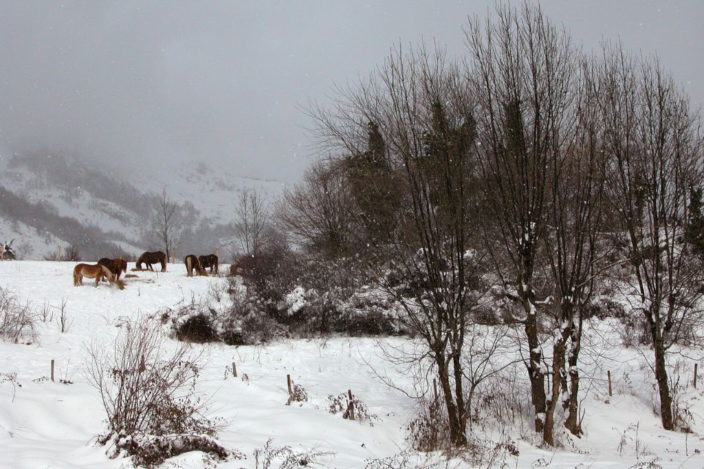 Aran Valley (Lleida, Spain), 2005