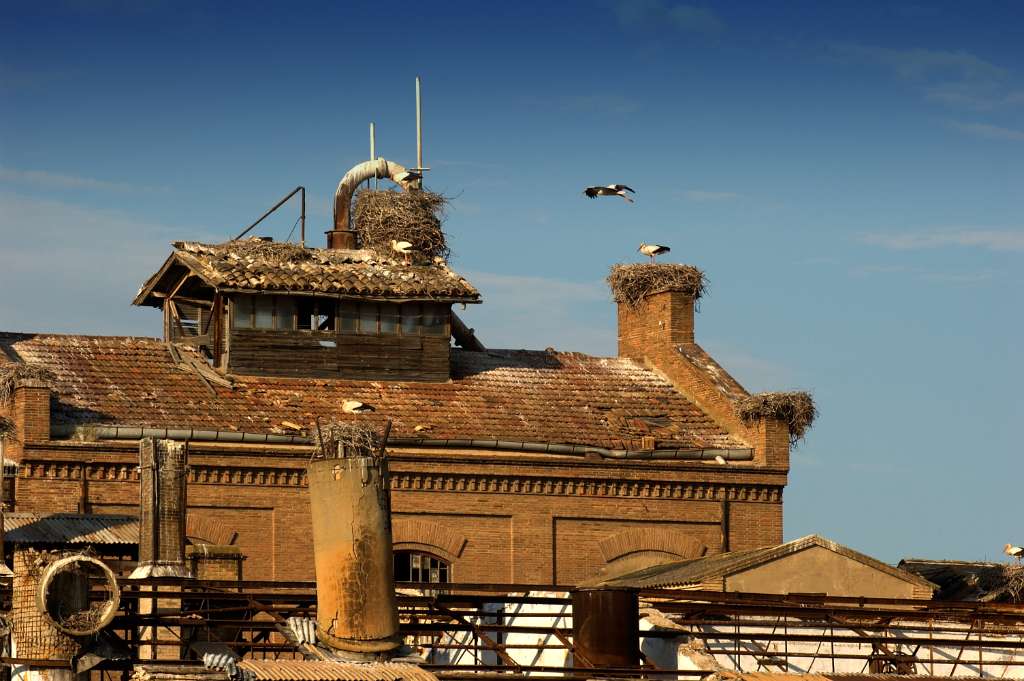 Sugar factory, Alagón (Spain)