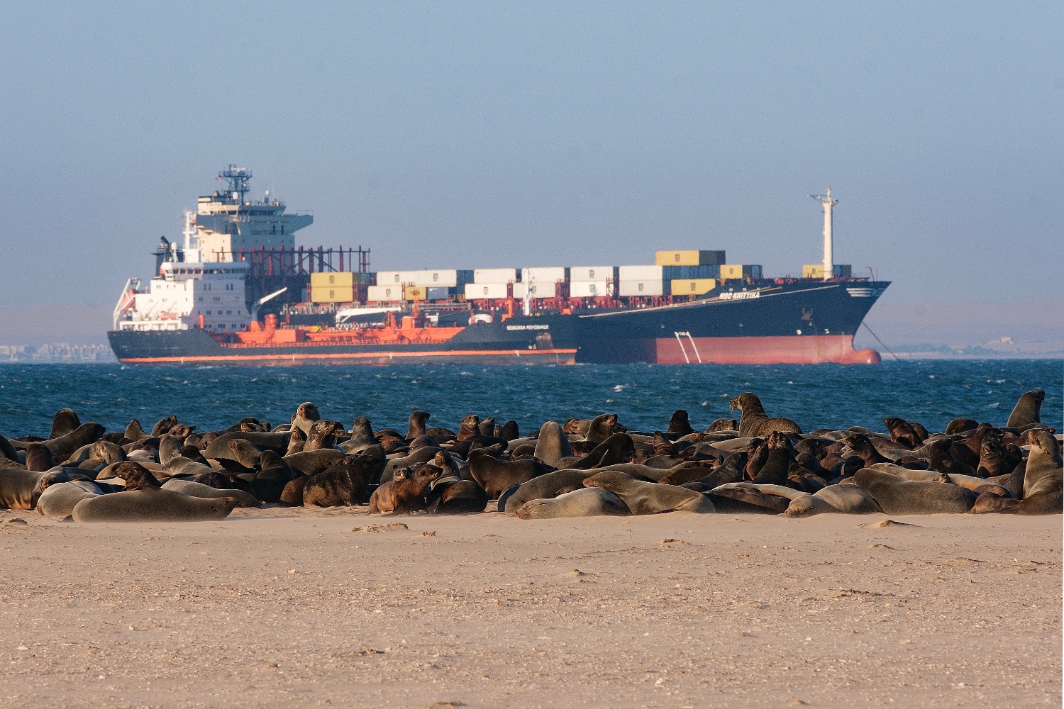 Pelican Point, Walbis Bay