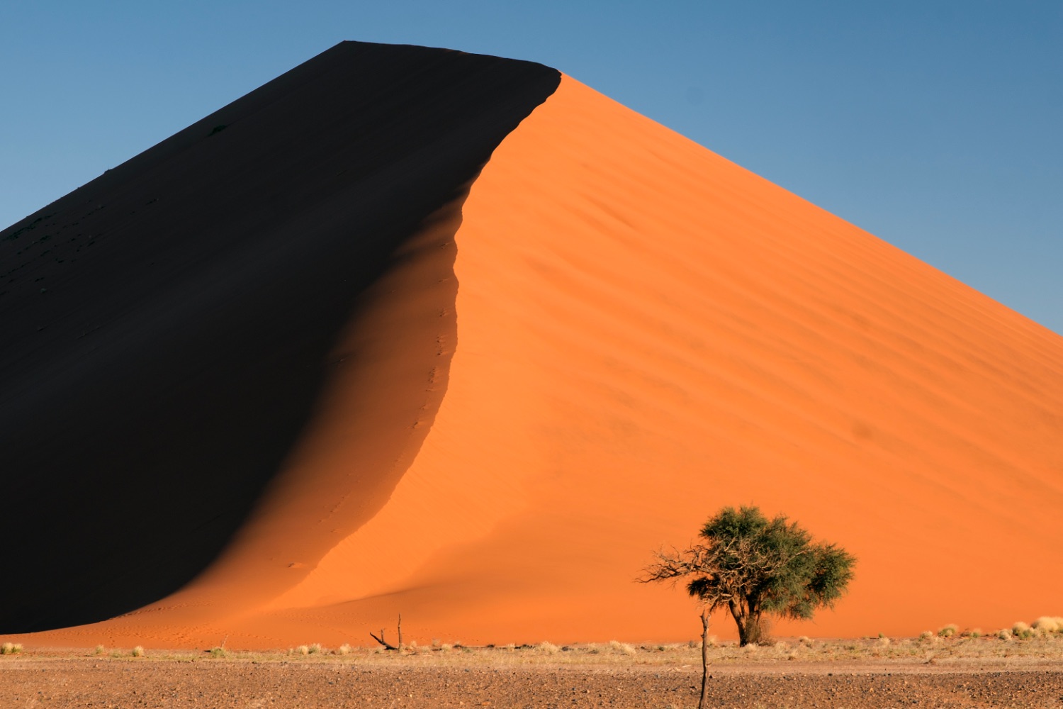 Namib Desert, dune 40