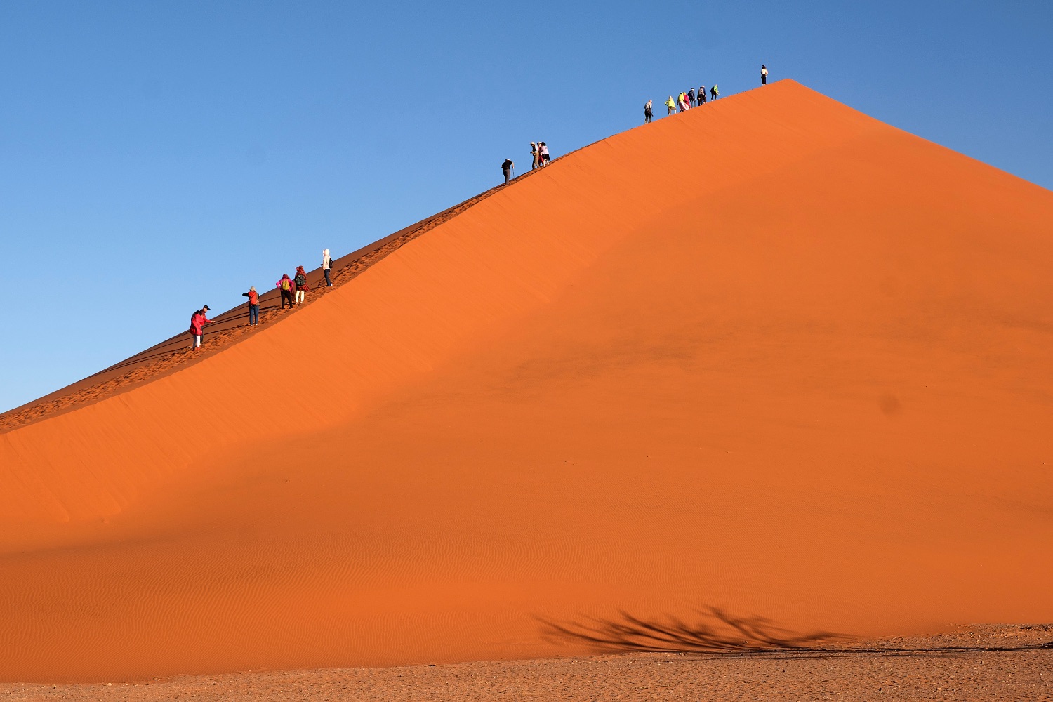 Namib Desert, dune 45