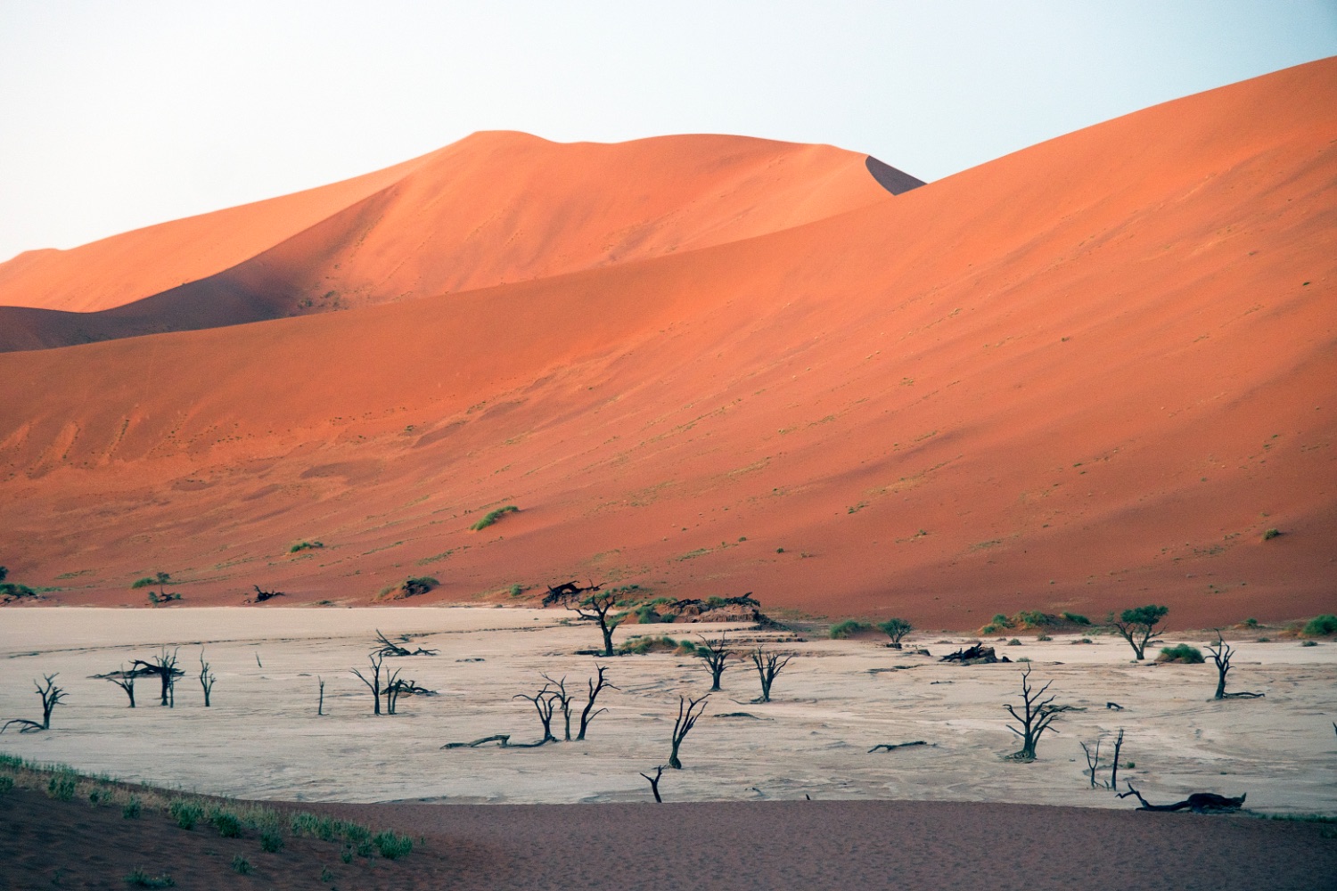 Namib Desert, Deadvlei