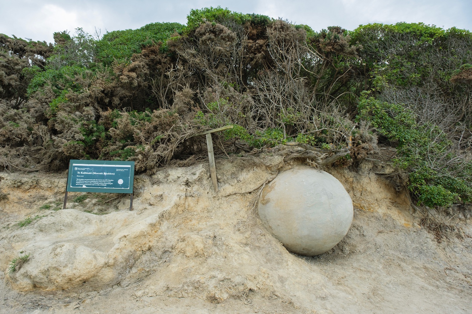 Moeraki Boulders