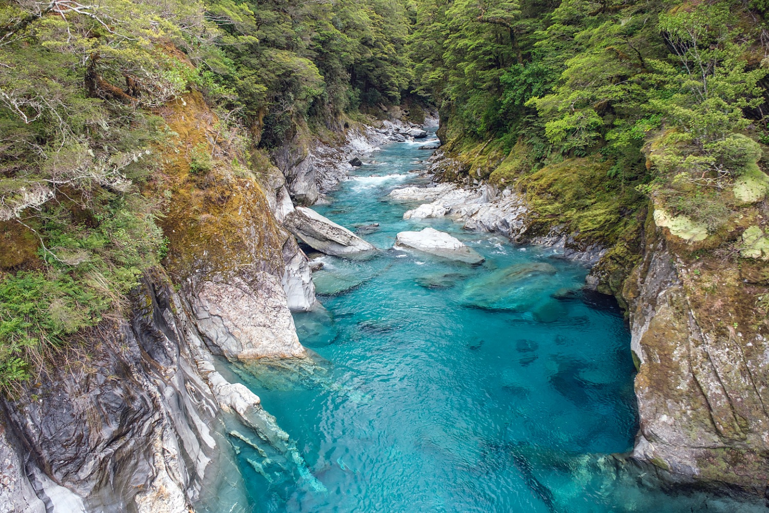 Blue Pools, Mount Aspiring National Park