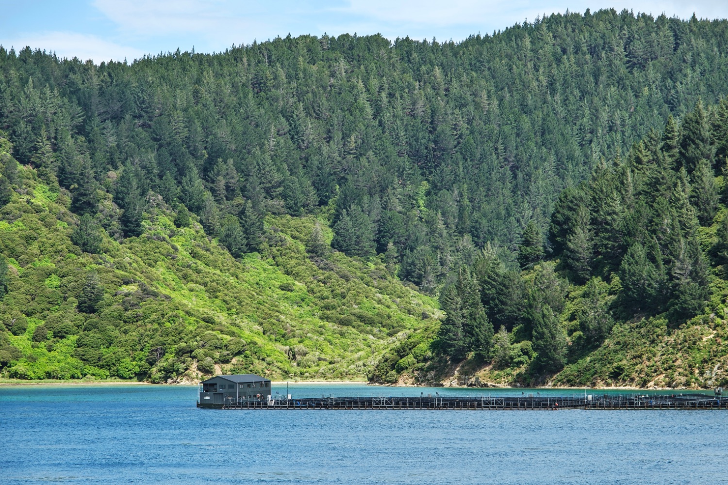 Through the Cook Strait