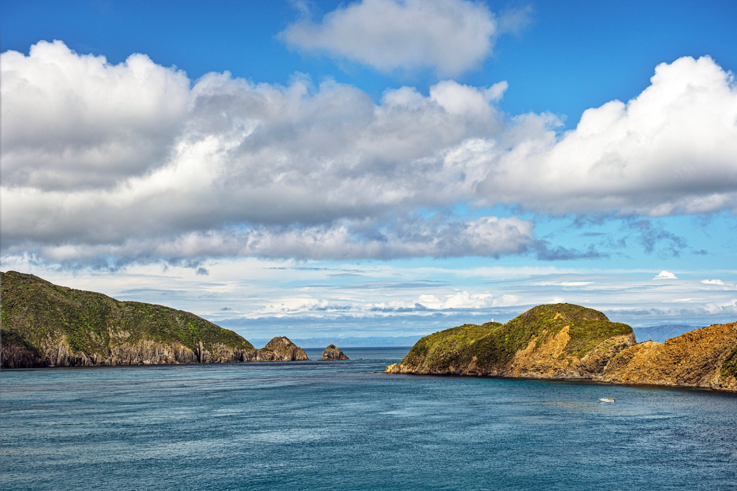Through the Cook Strait