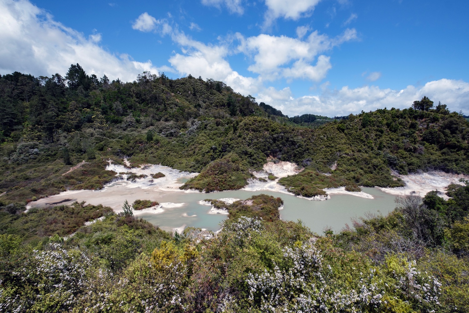 Rotorua, Wakarewarewa