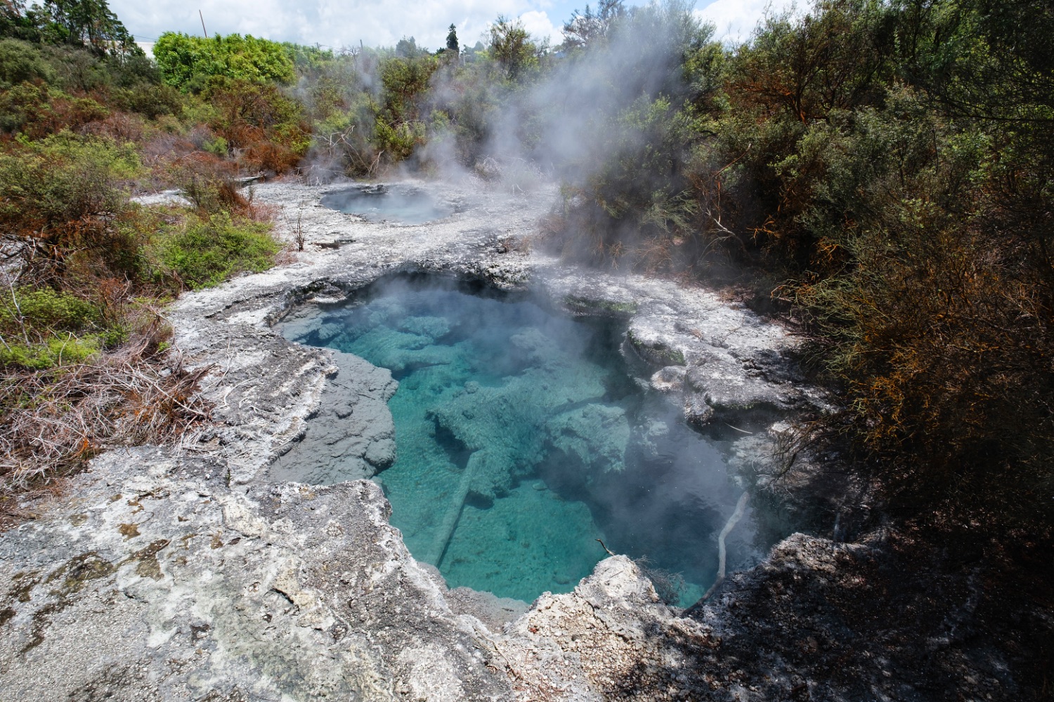 Rotorua, Wakarewarewa