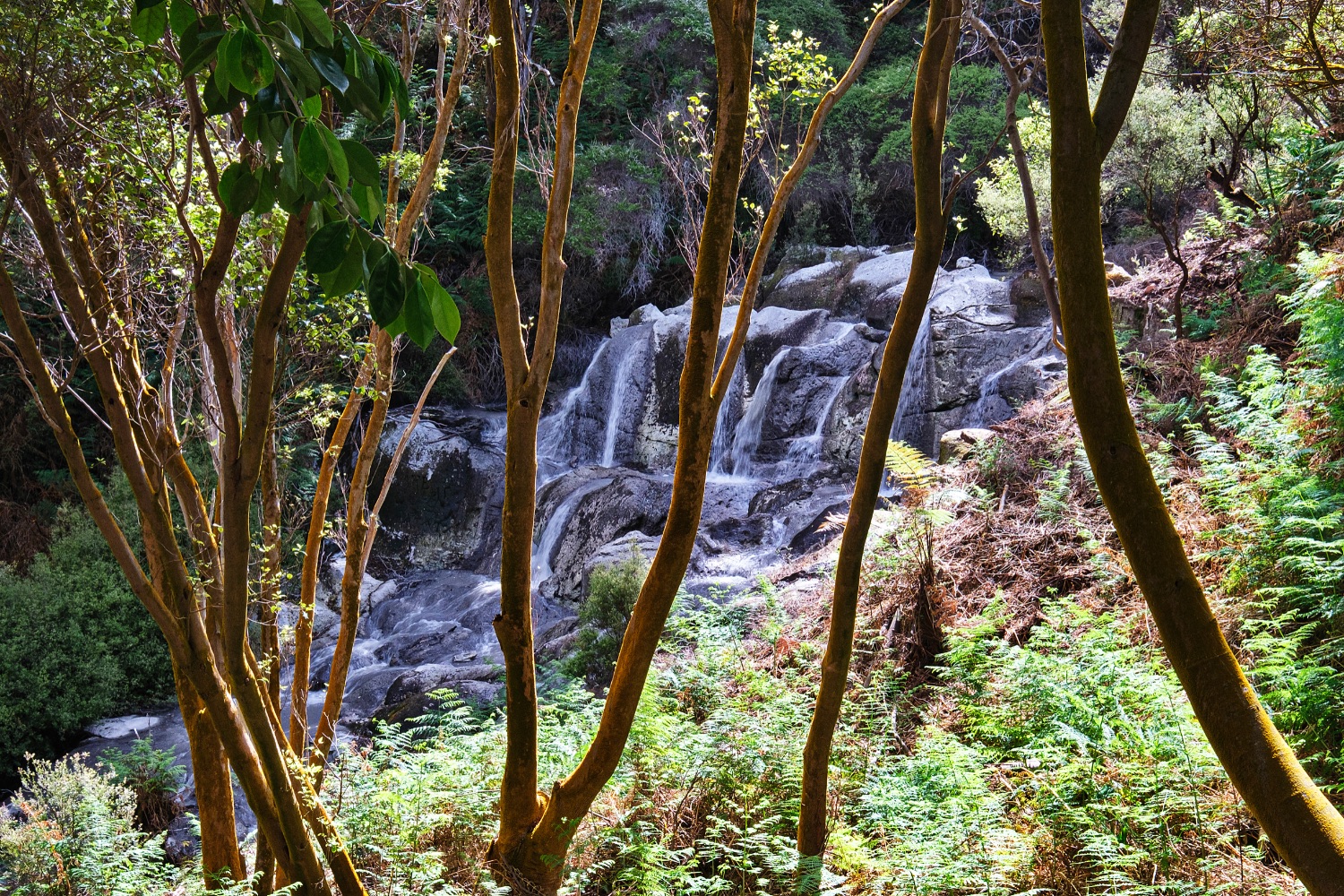 Tikitere, Hell’s Gate