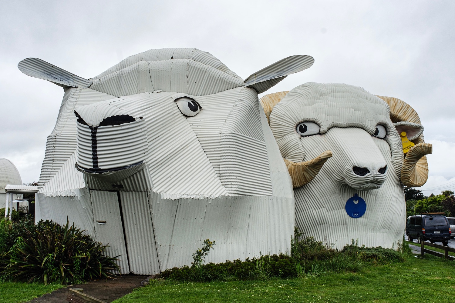 Tirau, buildings built with corrugated plates