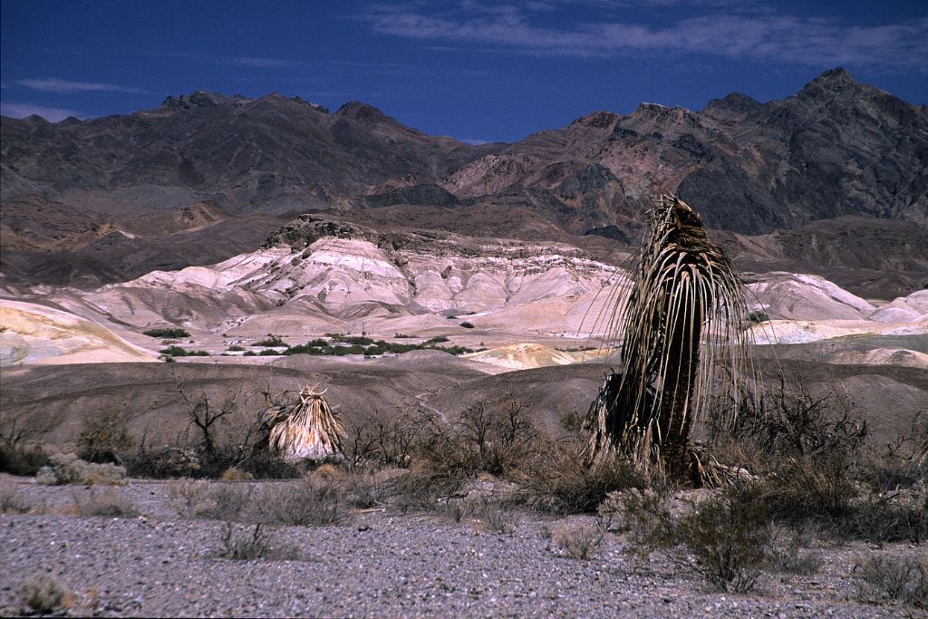 Death Valley