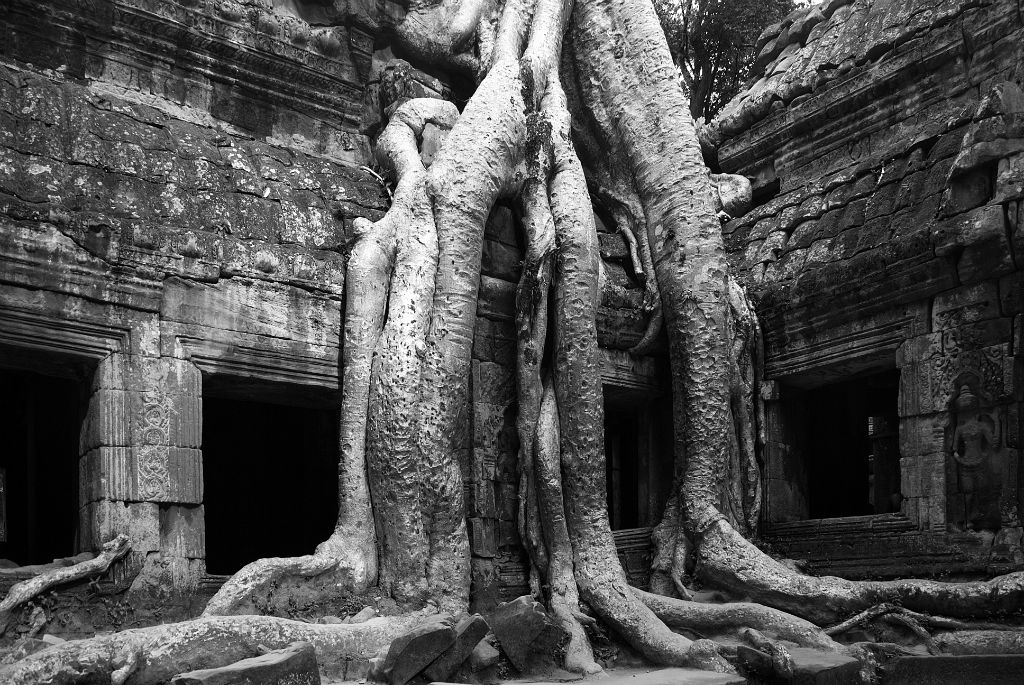 Cambodia - Tah Prom temple